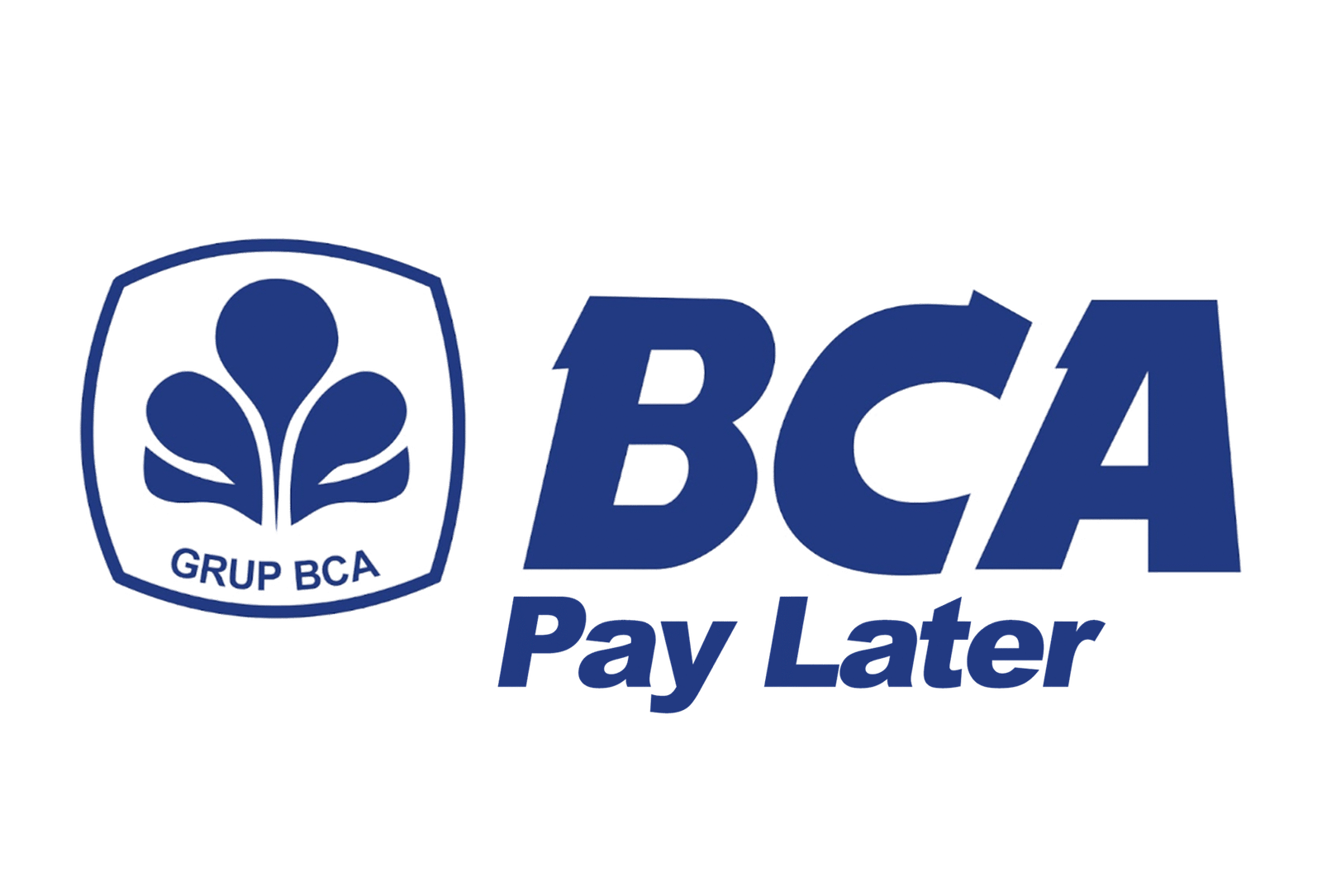 BCA Paylater